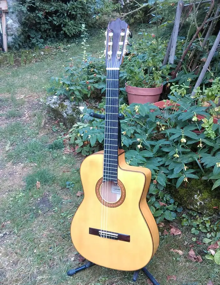 Guitare Flamenca