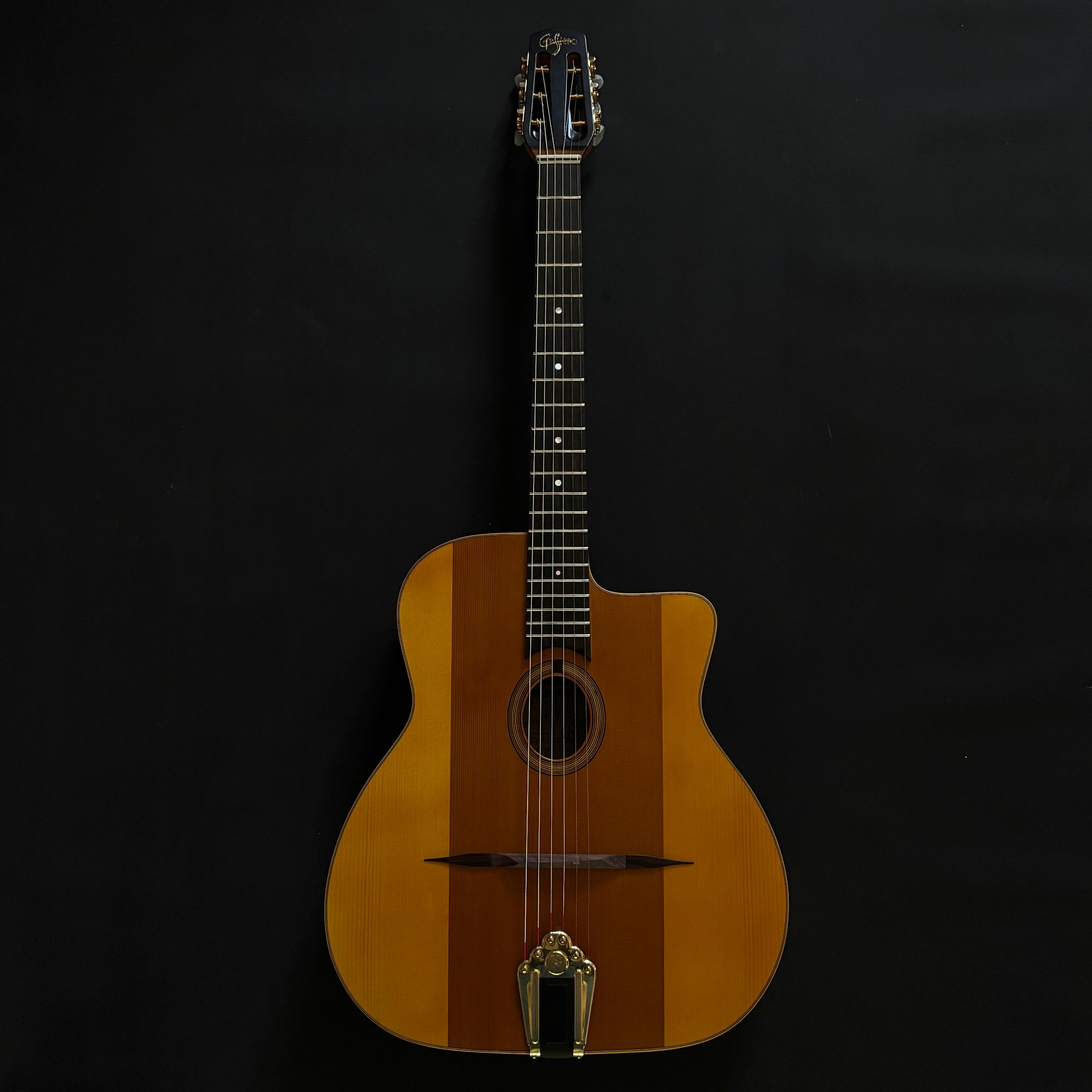 Guitare Original Hybride